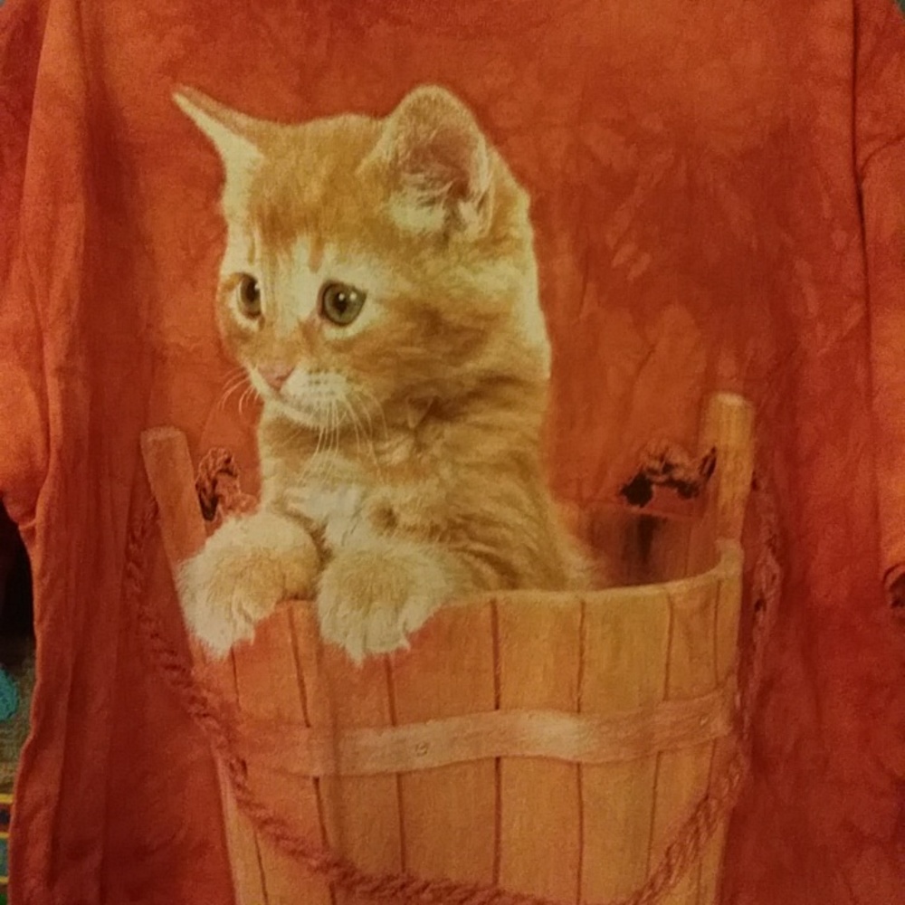 XL The Mountain Orange Cat in Bucket